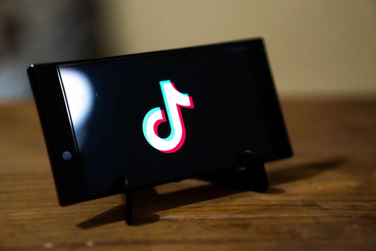 tiktok, app, smartphone, application, tiktok logo, screen, android, social media, mobile phone, cellphone, tiktok, tiktok, tiktok, tiktok, tiktok, tiktok logo. What the Gen Z brand loyalty examples actually show